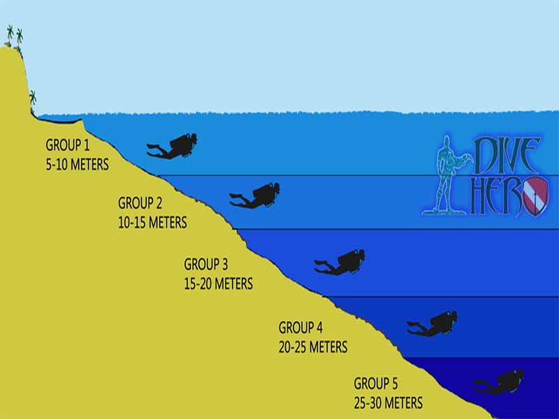 Dive Hero Dive Against Debris example of buddy team structure