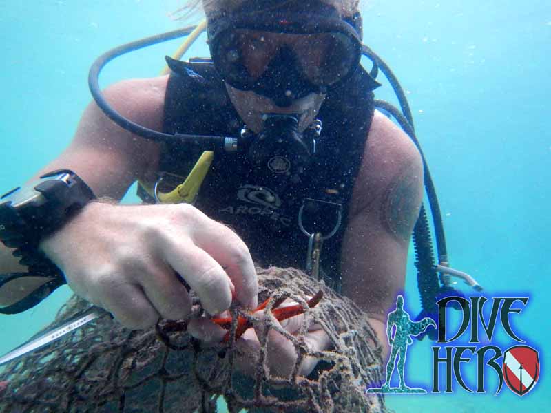 During a Dive Against Debris a ghost net is removed as an environmental action