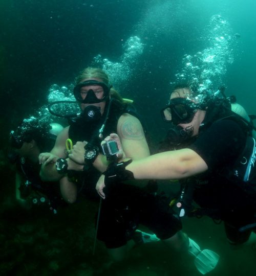 Discover Scuba Diving