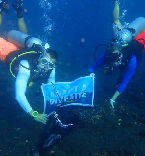 Dive Hero Yogi Dive Against Debris Project Aware Bali Indonesia